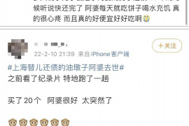标题：闪电借款催收起诉：揭秘借贷纠纷中的法律应对
