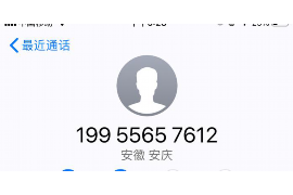 标题：闪电借款近期上门催收，揭秘背后的真相与应对策略