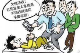 要账委投书范文，高效解决债务问题的实用指南