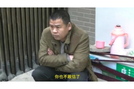 东营要账公司电话，专业解决欠款难题，守护您的权益