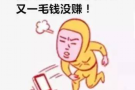 刘能要账真相，揭秘娱乐圈中的讨债高手