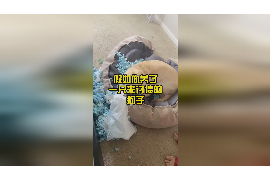 梦见问我要账的人来我家——揭秘梦境中的债务问题