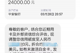 银行热线电话催收:揭秘背后的故事与应对策略 银行热线电话催收:揭秘背后的故事与应对策略