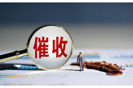 小琼莲花落要账难,揭秘中小企业应收账款困境 小琼莲花落要账难,揭秘中小企业应收账款困境