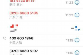 艾小妖要账，揭秘个人债务追收的艺术与策略