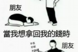 警察要账有权吗？法律解读与案例分析