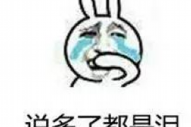 要账的在村里贴照片，探讨农村债务催收现象及对策