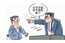 妹爷要账视频全集,揭秘借贷江湖的幕后真相 妹爷要账视频全集,揭秘借贷江湖的幕后真相