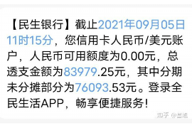 要账的是孙子还债的人，揭秘债务传承背后的法律与道德困境