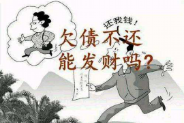 要账的说说主，揭秘高效催收技巧