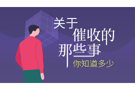 黑蛋要账囧途全集:一场充满笑与泪的讨债之旅 黑蛋要账囧途全集:一场充满笑与泪的讨债之旅