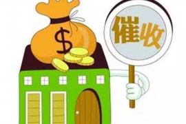 韩国电影中的“要账杀人分尸”现象：揭秘背后的社会现实与心理动机