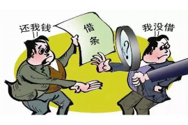 陕西，这片历史悠久、文化底蕴深厚的土地，不仅孕育了无数的历史遗迹，也催生了各式各样的现代企业。在商业活动中，应收账款的管理是每个企业都无法回避的问题。那么，陕西有没有要账公司呢？今天，我们就来聊聊这个话题。