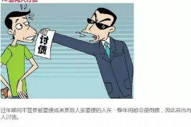 泰拉科技要账号吗？揭秘泰拉科技注册流程与账号获取