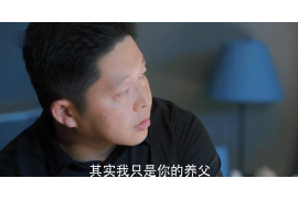 标题：追讨债务，法律纠纷中的那点事儿