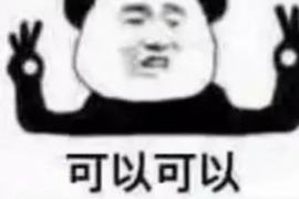 邓州挖机老板要账：一场关于诚信与权益的较量