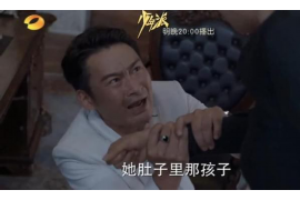 面对催收专业术语，你是否感到一头雾水？别担心，今天我们就来聊聊这个话题。作为一名专业律师，我经常会遇到客户在处理催收问题时，对一些专业术语感到困惑。下面，我就用费曼写作法，带你一步步了解这些术语，让你在面对催收时不再迷茫。