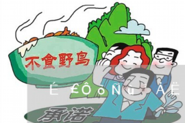 标题：揭秘714高炮催收江湖：哪家“猛”？